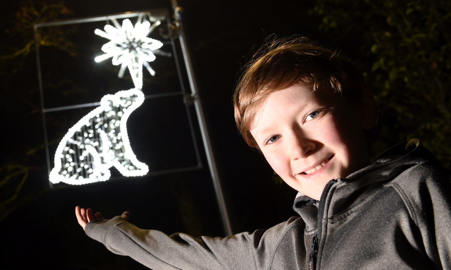Aviemore lad creates polar bear winter light for hometown - Vimarsana News