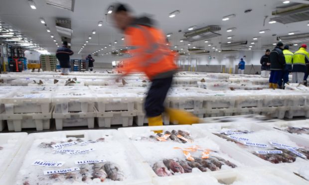 Peterhead Fish Market