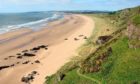 St Cyrus is ideal for an Easter picnic.