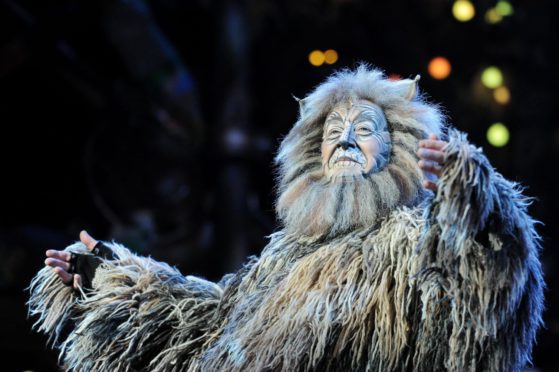 Mandatory Credit: Photo by Joanne Davidson/Shutterstock (7530264b)
'Cats' Press Night at the London Palladium Curtain Call with Nicholas Pound (old Deuteronomy)
'Cats' Press Night - 11 Dec 2014