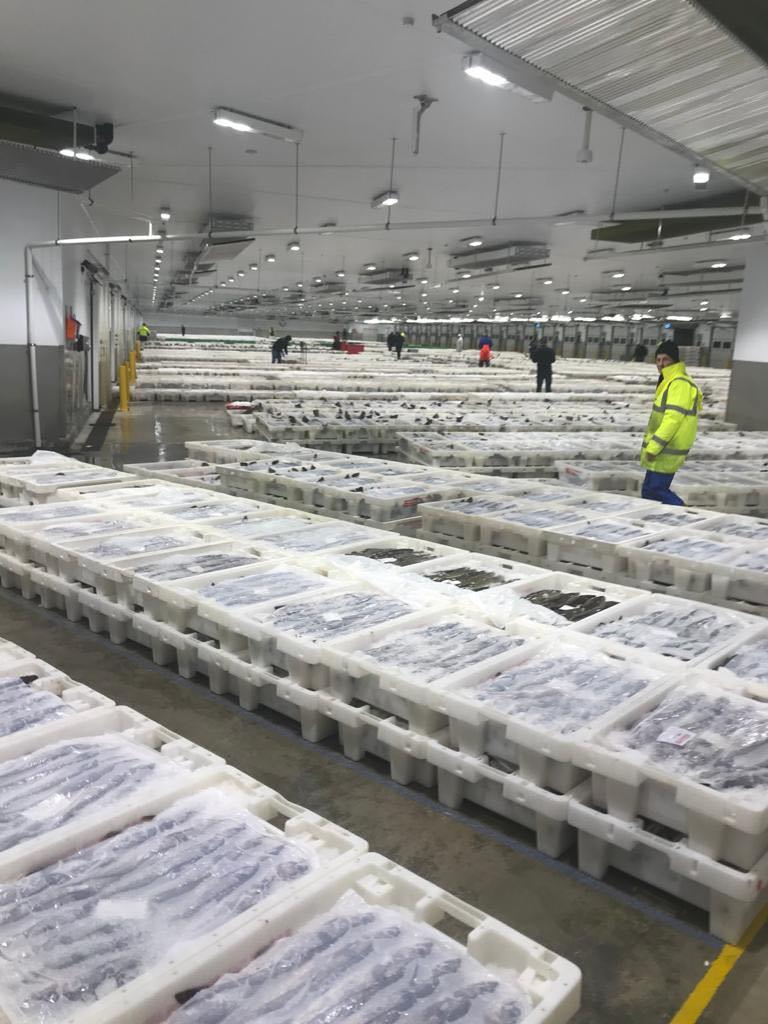 A full-looking Peterhead Fish Market in 2019