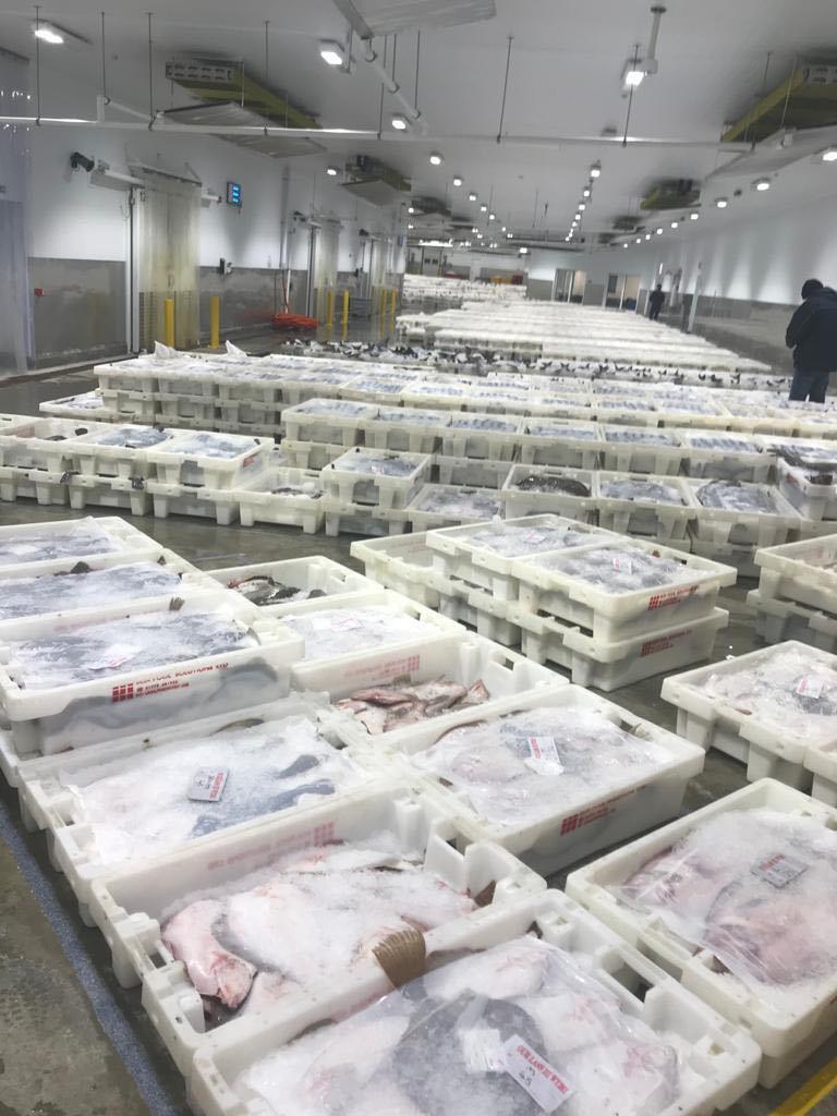Many boxes of fish in the market in 2019