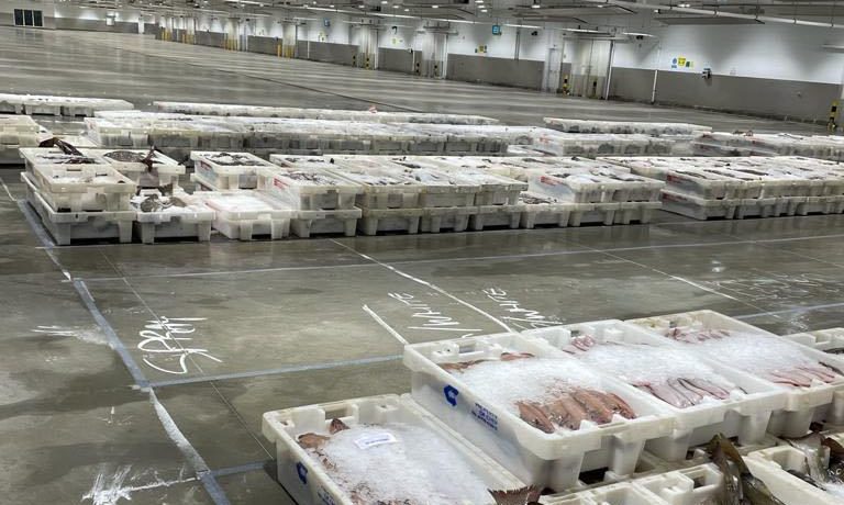 A sparse amount of fish iced in boxes in the near-empty main hall of Peterhead Fish Market
