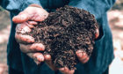 Soil health is one of the topics for discussion at the virtual workshops.