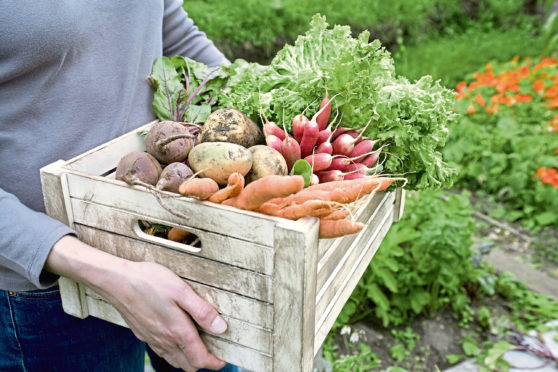 UK farmers could see imports of their produce banned by some EU countries.