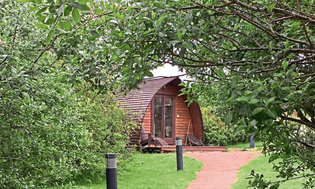 Andrew Hall used trees to create a scenic area for his glamping pods.