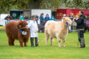The Fife Show has been cancelled for the second year in a row, due to Covid-19.