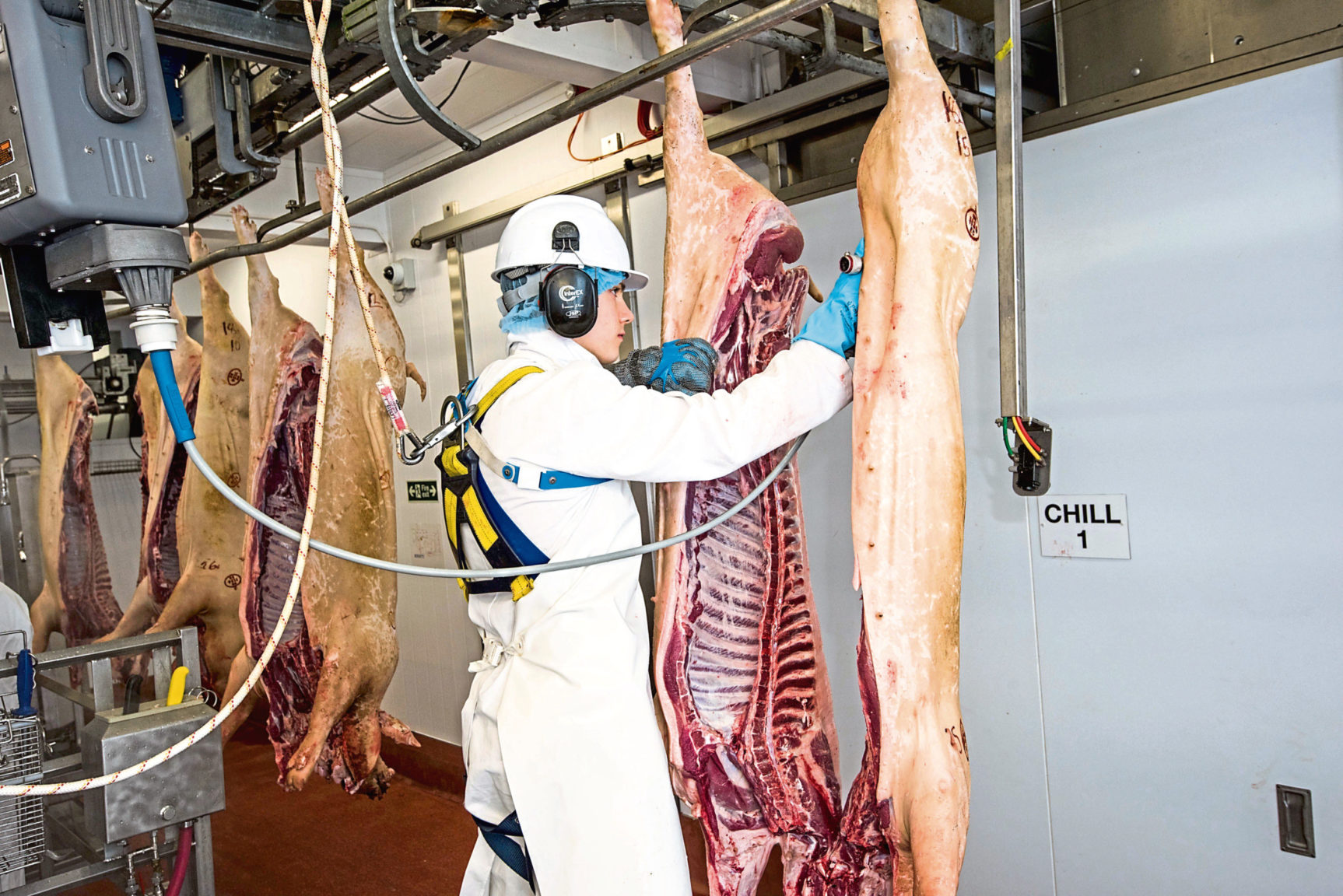 production-halted-at-brechin-pork-processing-plant-after-covid-outbreak