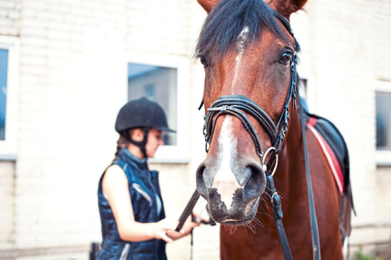 SRUC says the equine industry and students will benefit from the new centre.