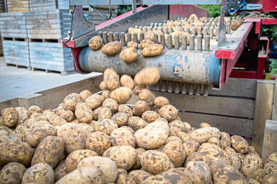 Morrisons is closing its potato grading and storage facility in Carnoustie.