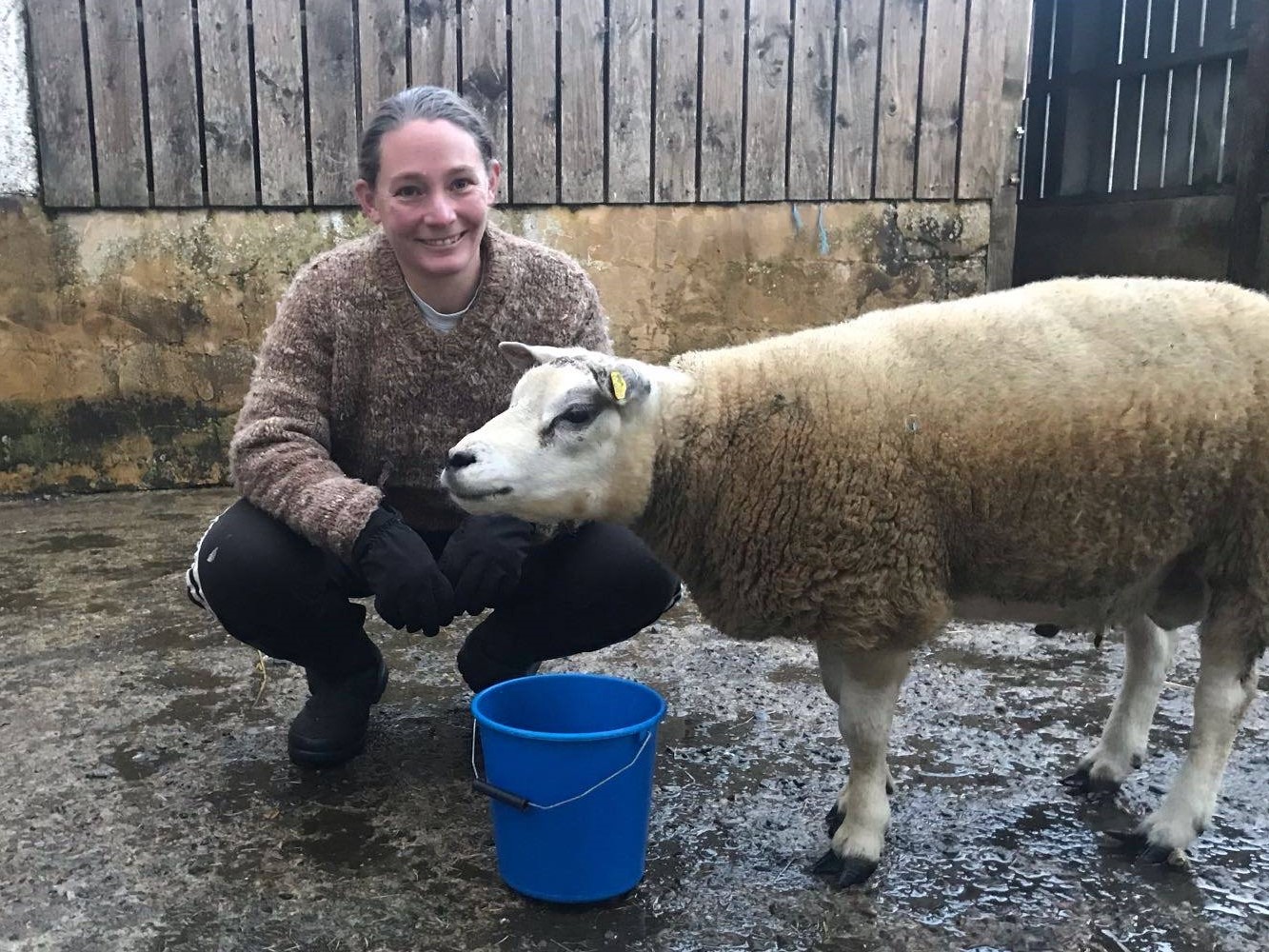 Sutherland shepherdess named top young crofter - Vimarsana News