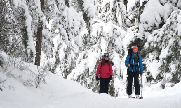 Cross country skiers make the most of the snowy conditions in Glenmore, Speyside on Saturday