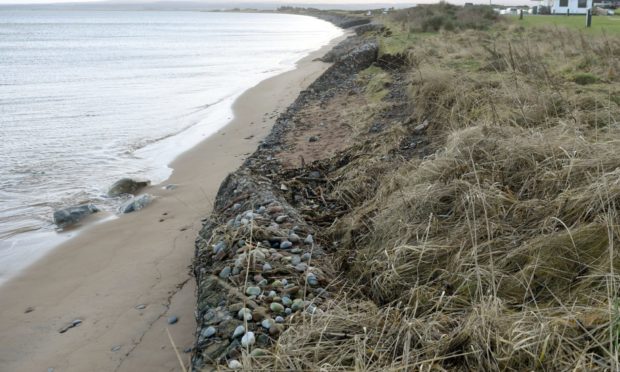 Fortrose beach