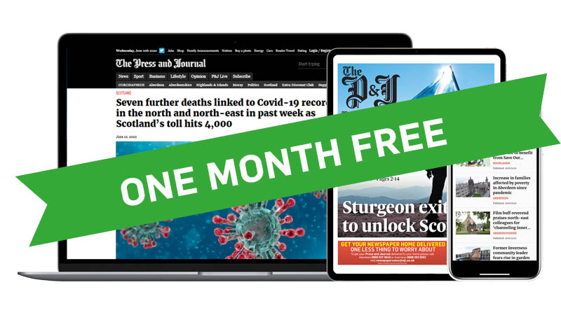 Free Web + ePaper Pack