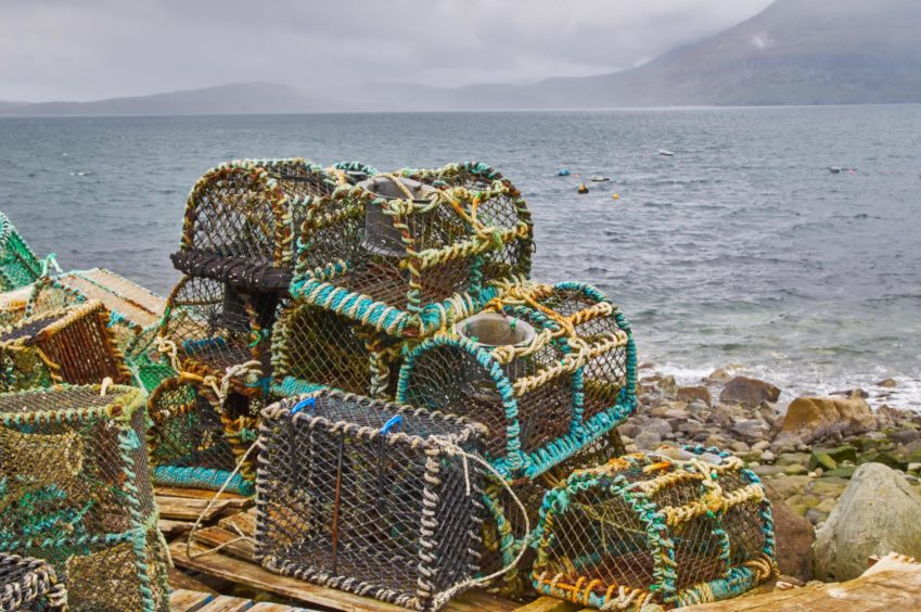 Image of creel nets be the sea