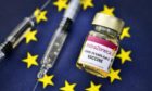 Mandatory Credit: Photo by Action Press/Shutterstock (11735115d)
Injection bottle with AstraZeneca lettering, vaccination syringes, flags of Germany, Great Britain and the EU, vaccine deliveries.
Vaccine supplies for the EU, Hamburg, Germany - 29 Jan 2021