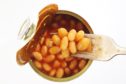 Haricot beans are used in tinned baked beans.