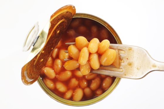 Haricot beans are used in tinned baked beans.