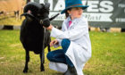 A young exhibitor at the 2019 show.