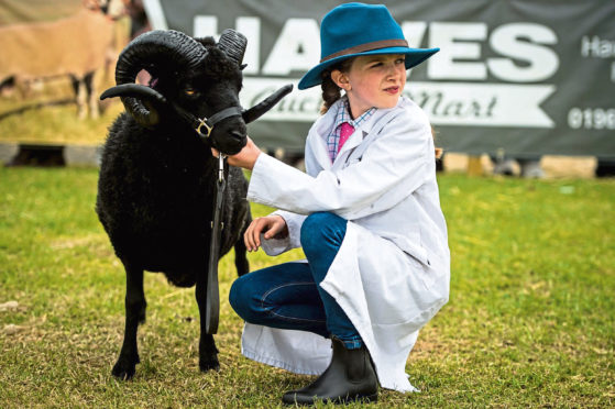 A young exhibitor at the 2019 show.