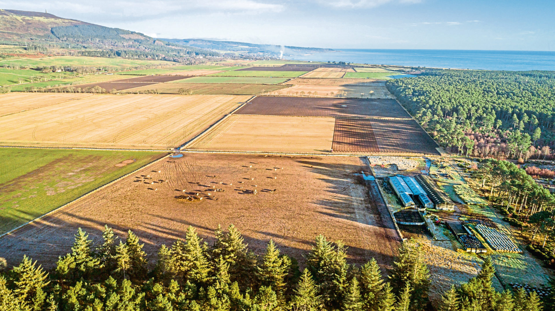 ‘Fantastic opportunity’ to buy Sutherland farm