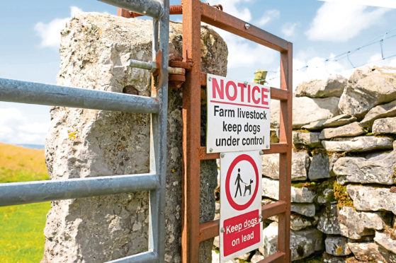 North Yorkshire, UK - Circa August 2019: Detailed view of Warning signs at the entrance to a right of way in the Yorkshire Dales. Dog walkers must keep dogs on leads to prevent scaring the cows.; Shutterstock ID 1478531276; Job: Farming