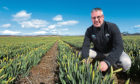 Mark Clark, MD Grampian Growers in field of daffodils near Logie, Angus.