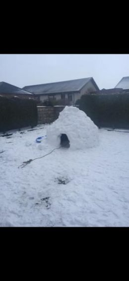 Riley and Finley in the igloo built for them by their dad Lee Page