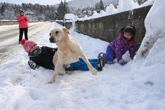 Schools across the north of Scotland will remain shut due to the wintry weather - which Alfie and Willow Campbell have been enjoying with dog Buddy