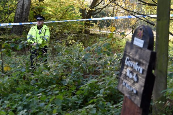 Police sealed off a section of Greenfern Woods, near Barvas Walk, following reports of a rape. Picture by Kenny Elrick