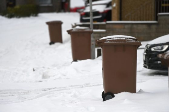 Recycling bins in Cove today.