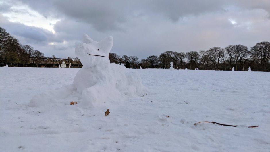 Families have made the most of a snowy Duthie Park