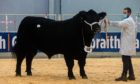 Galcantray Jedi Eric topped the sale at 15,000gn