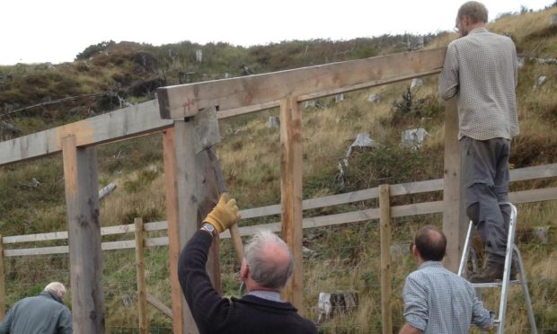 Sleat Community Trust working in Tormore Forest