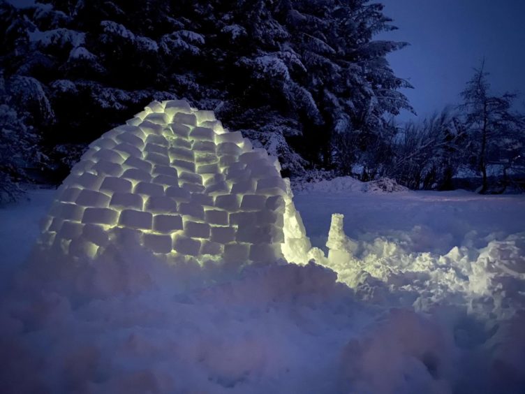 Riley and Finley in the igloo built for them by their dad Lee Page