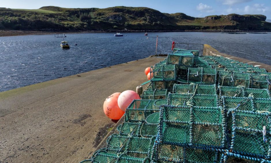 Scottish shellfish ban