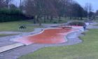 Westburn Park's pond turned orange on Friday, February 19, 2021. Supplied by Ross McLean