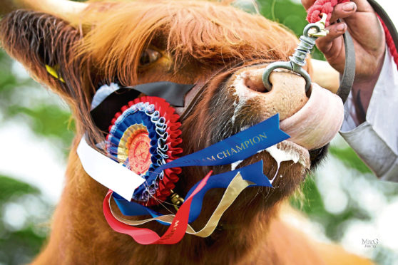 The Royal Highland Show at Ingliston starts on Thursday 23 June 2016. Picture Shows; an undated File picture, supplied by RHS Organisers of a winner from one of the bread categories at the Royal Highland Show.