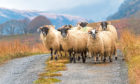 The Government's pledges include a commitment to reform crofting legislation.