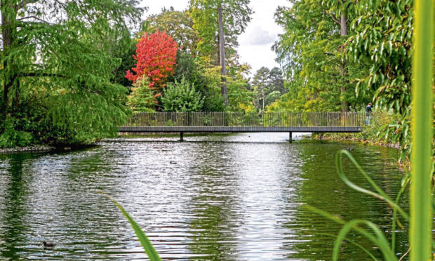 Kew Gardens.