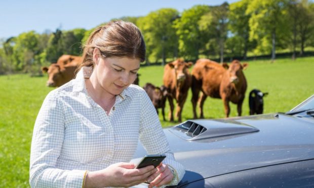 LIVE UPDATES: The app technology allows farmers to share livestock info with vets.