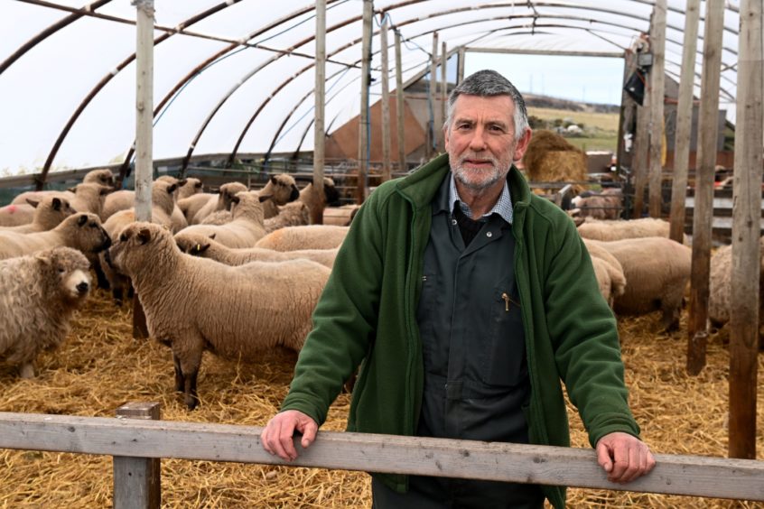 Graham Lennox runs Doonies Rare Breeds Farm. 