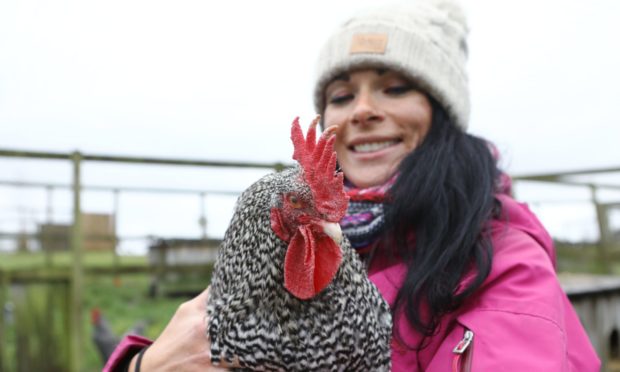 Gayle cuddles Hamish, a Scots Grey cockerel, at Murton Farm, near Forfar.