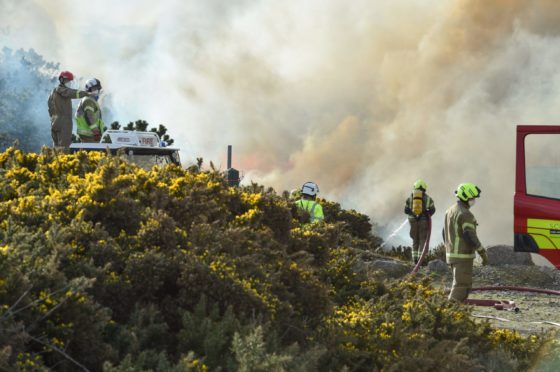 Fire crews at the scene yesterday. Picture by Jason Hedges