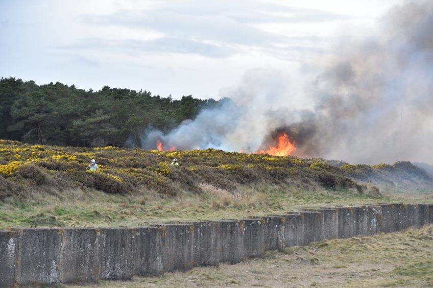 Images show the gorse fire