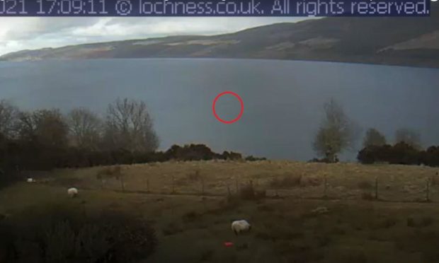 Ripples were spotted on a webcam by veteran Nessie spotter Eoin O'Faodhagain.