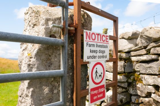 Farm leaders and the Police are urging people to keep their dogs under control while visiting the countryside.