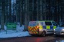 Searches homed in on the Blackmuir Wood area of Strathpeffer.