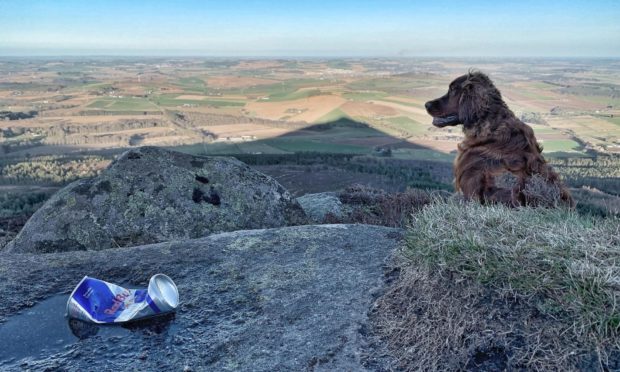 Campaign launched to tackle rubbish left at Bennachie.