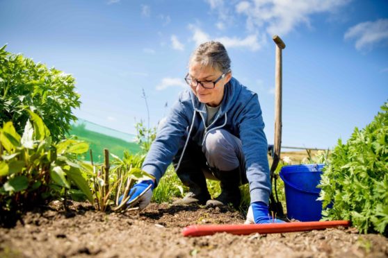 Study reveals importance of personal outdoor space during COVID-19 pandemic.